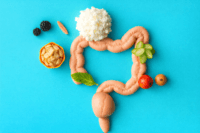 Model of large intestine surrounded by foods that influence IBS diet and digestive health