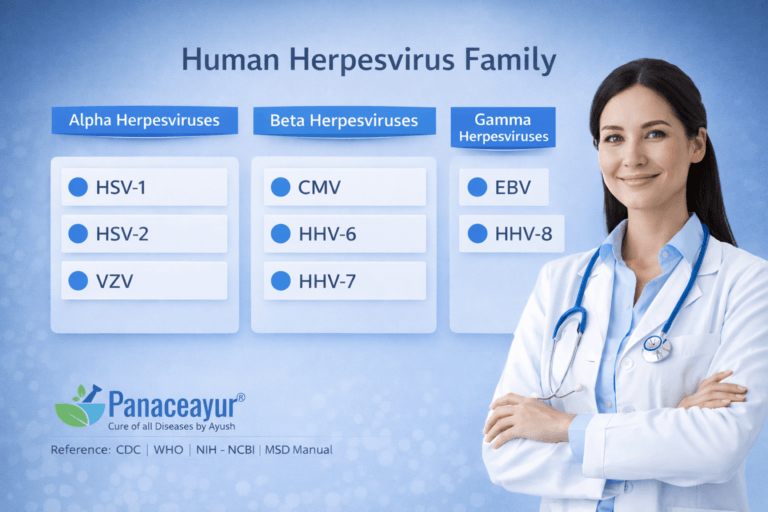 Human herpesvirus family classification showing alpha, beta, and gamma herpesviruses including HSV-1, HSV-2, VZV, CMV, HHV-6, HHV-7, EBV, and HHV-8, presented with a clinical doctor illustration.