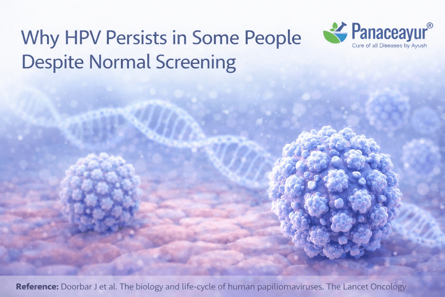 Medical illustration explaining why human papillomavirus can persist in the body despite normal screening results, showing viral lifecycle and cellular involvement