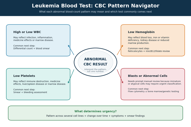 Leukemia blood test abnormal cbc pattern navigator