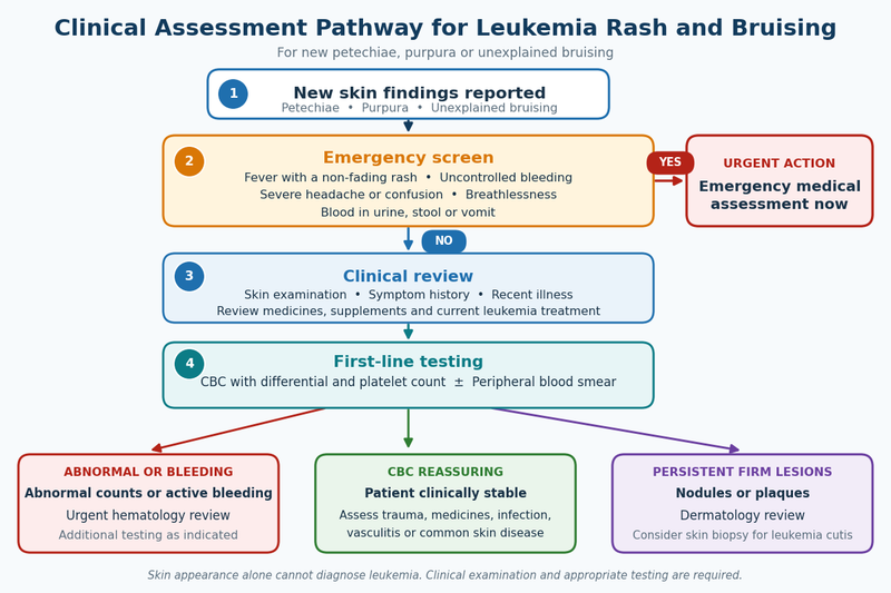 Leukemia Rash And Bruising: What Skin Changes Can Mean 6 Leukemia rash clinical assessment pathway medical grade 1200x800