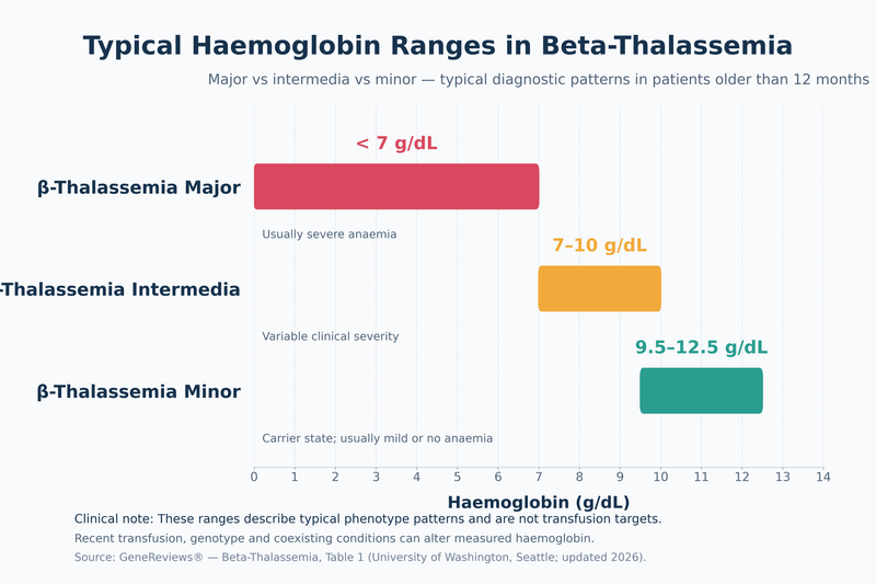 Thalassemia Major Vs Minor Vs Intermedia: Symptoms, Blood Reports, Risks And Treatment Differences 1 Thalassemia major vs minor vs intermedia top medical graph 6000x4000 1