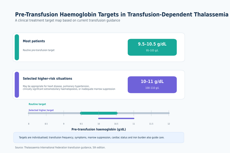 Thalassemia Major Vs Minor Vs Intermedia: Symptoms, Blood Reports, Risks And Treatment Differences 15 Thalassemia pretransfusion targets medical grade 6000x4000 1